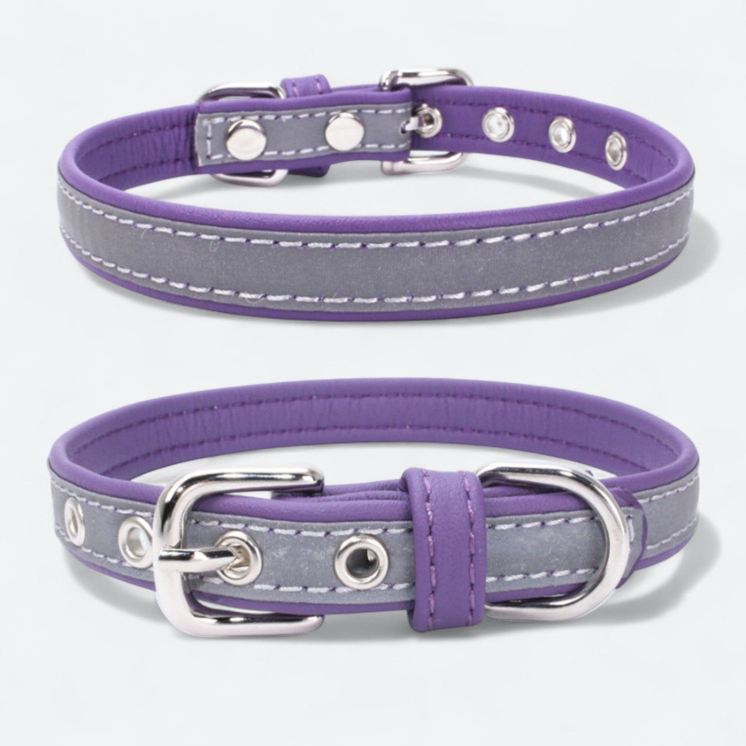 Frenchie-Reflective-Collar-Leash-Set.jpg