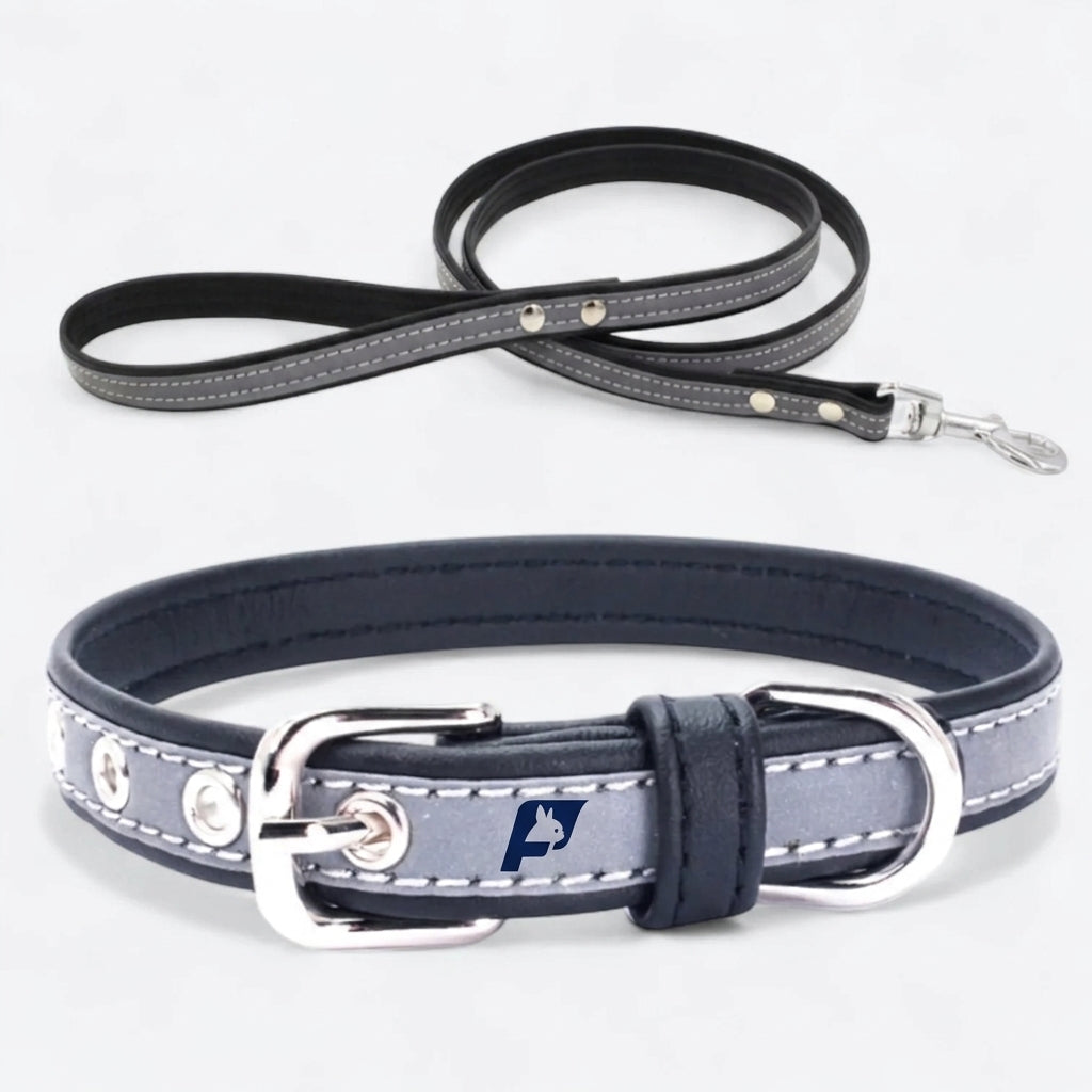 Frenchie-Reflective-Collar-Leash-Set.jpg