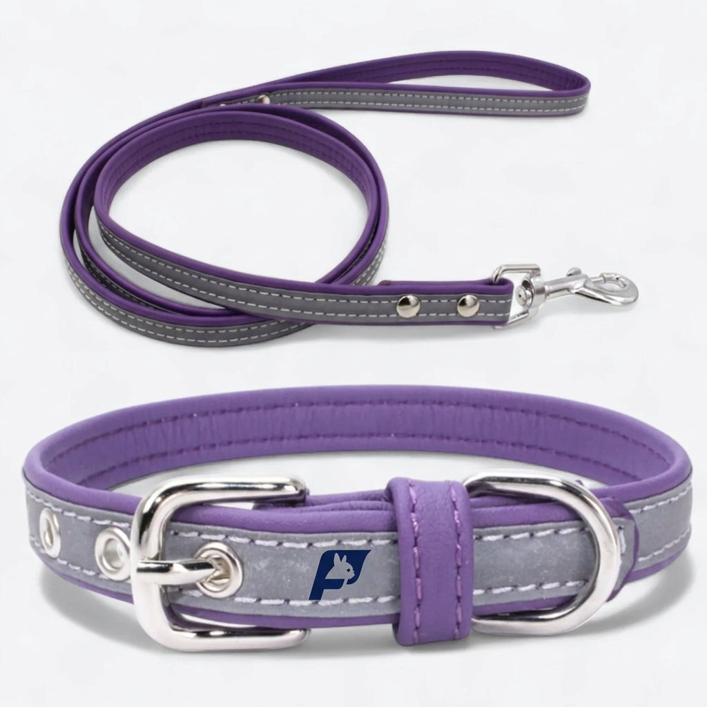 Frenchie-Reflective-Collar-Leash-Set.jpg