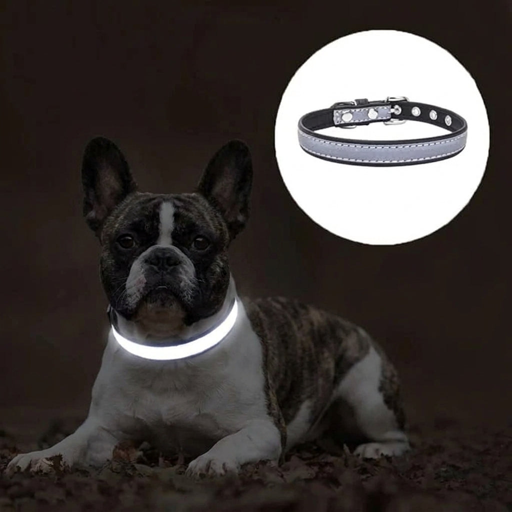 Frenchie-Reflective-Collar-Leash-Set.jpg