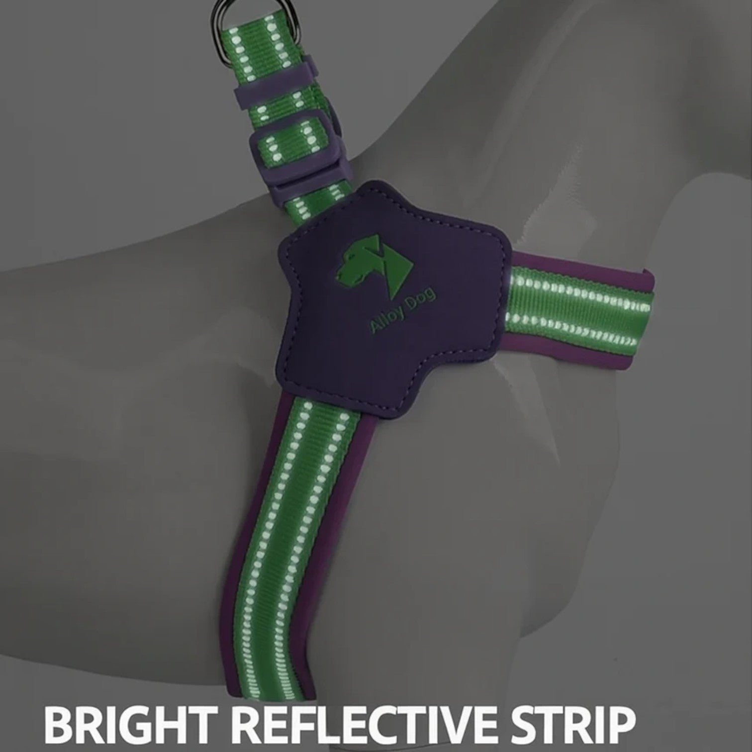 Frenchie-Reflective-Harness-Leash-Set.jpg