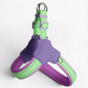 Frenchie-Reflective-Harness-Leash-Set.jpg