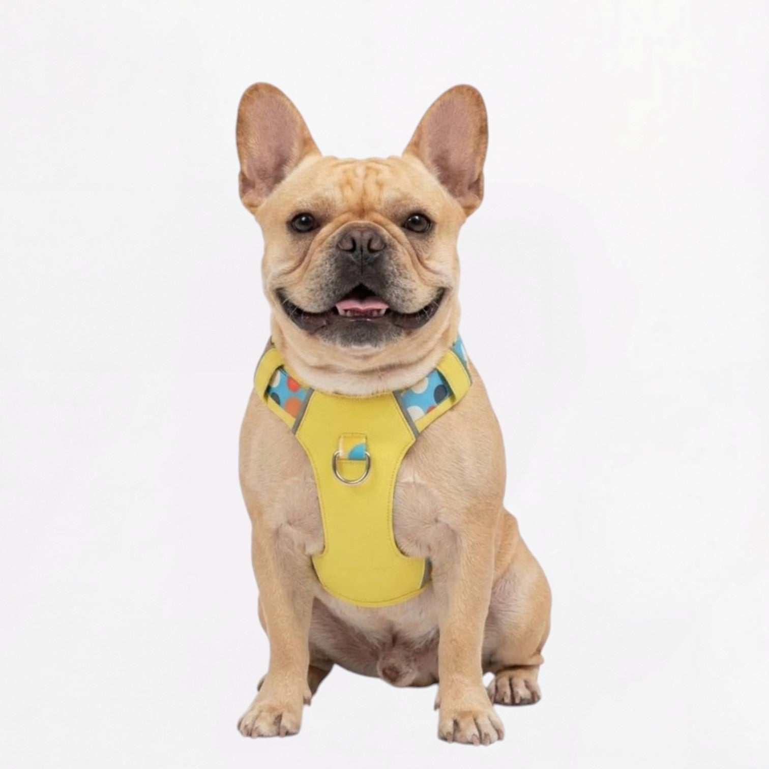 Frenchie-Reflective-No-Pull-Harness.jpg
