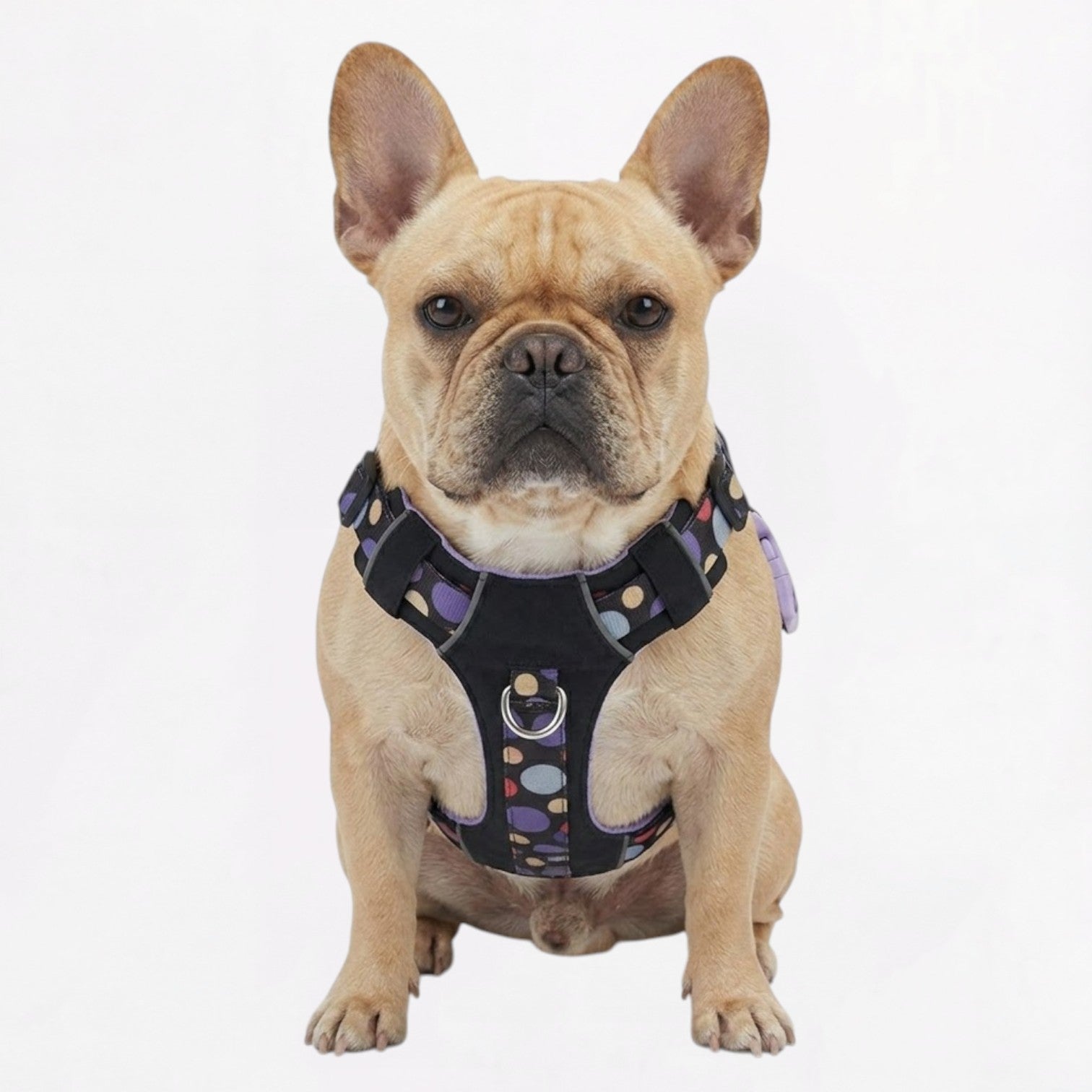 Frenchie-Reflective-No-Pull-Harness.jpg