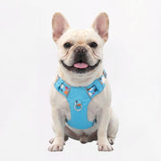 Frenchie-Reflective-No-Pull-Harness.jpg