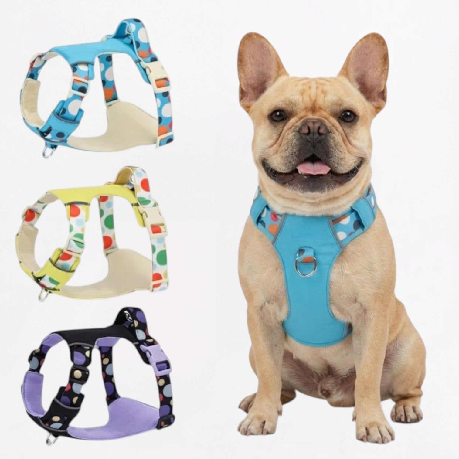 Frenchie-Reflective-No-Pull-Harness.jpg