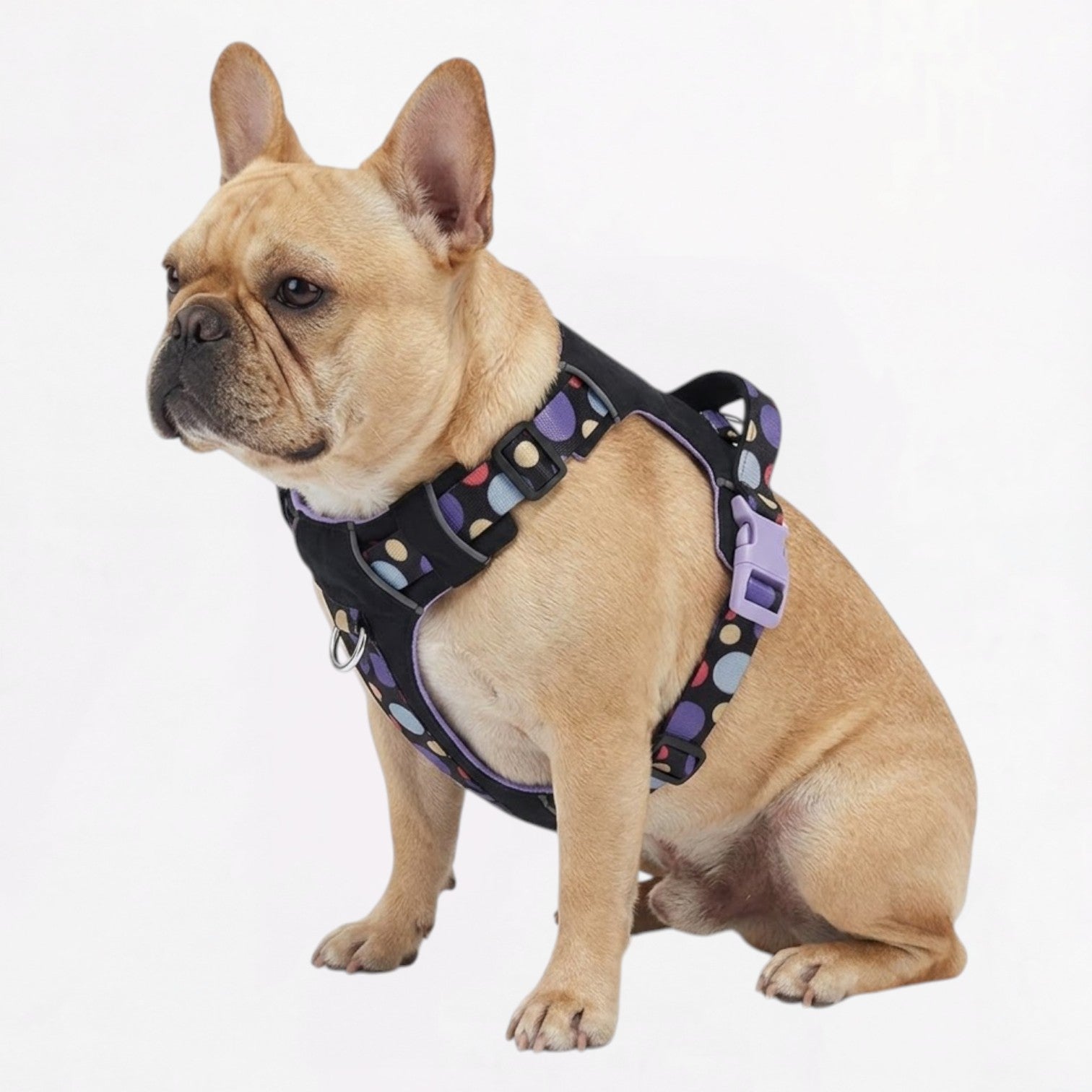Frenchie-Reflective-No-Pull-Harness.jpg