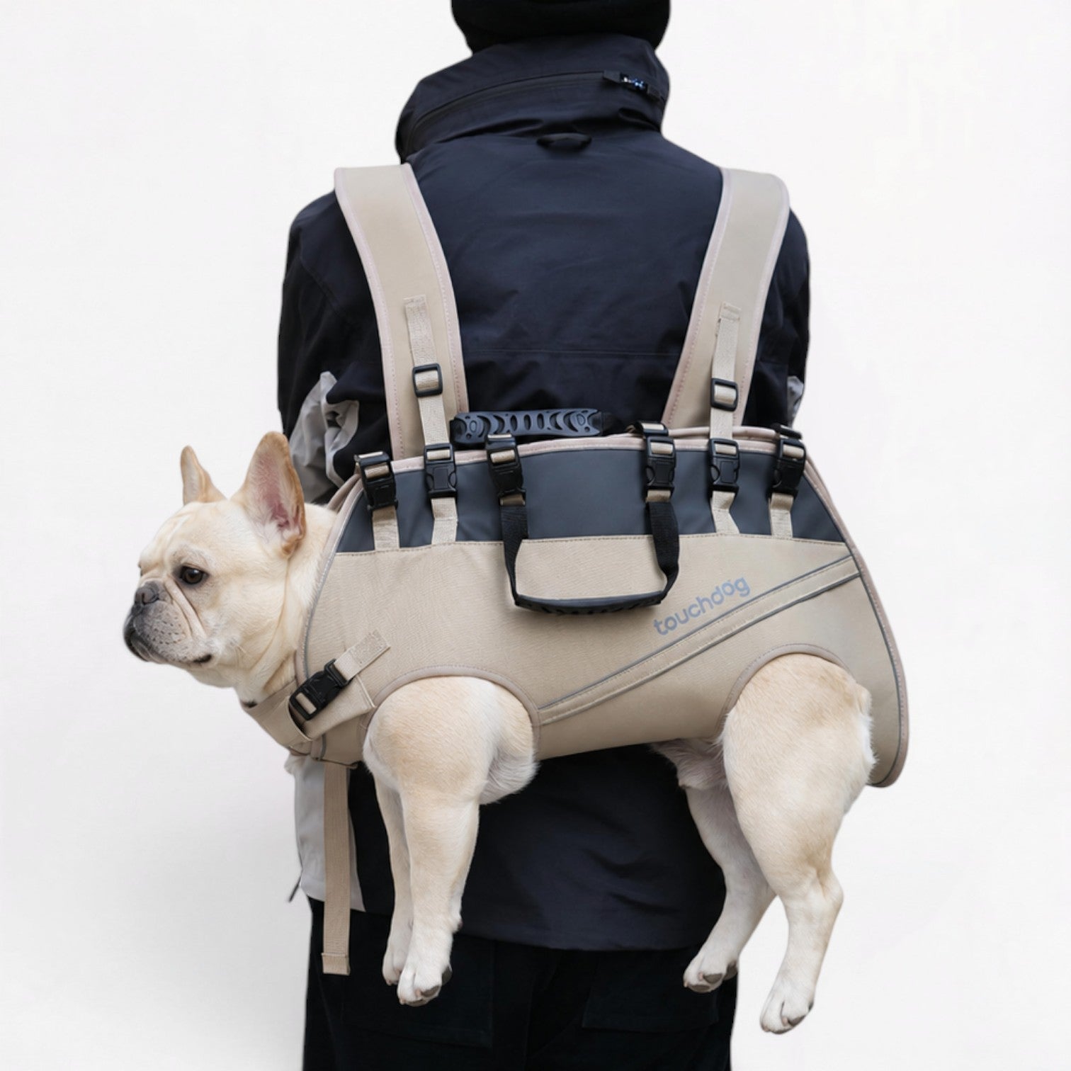 Frenchie-Reflective-Outdoor-Backpack.jpg