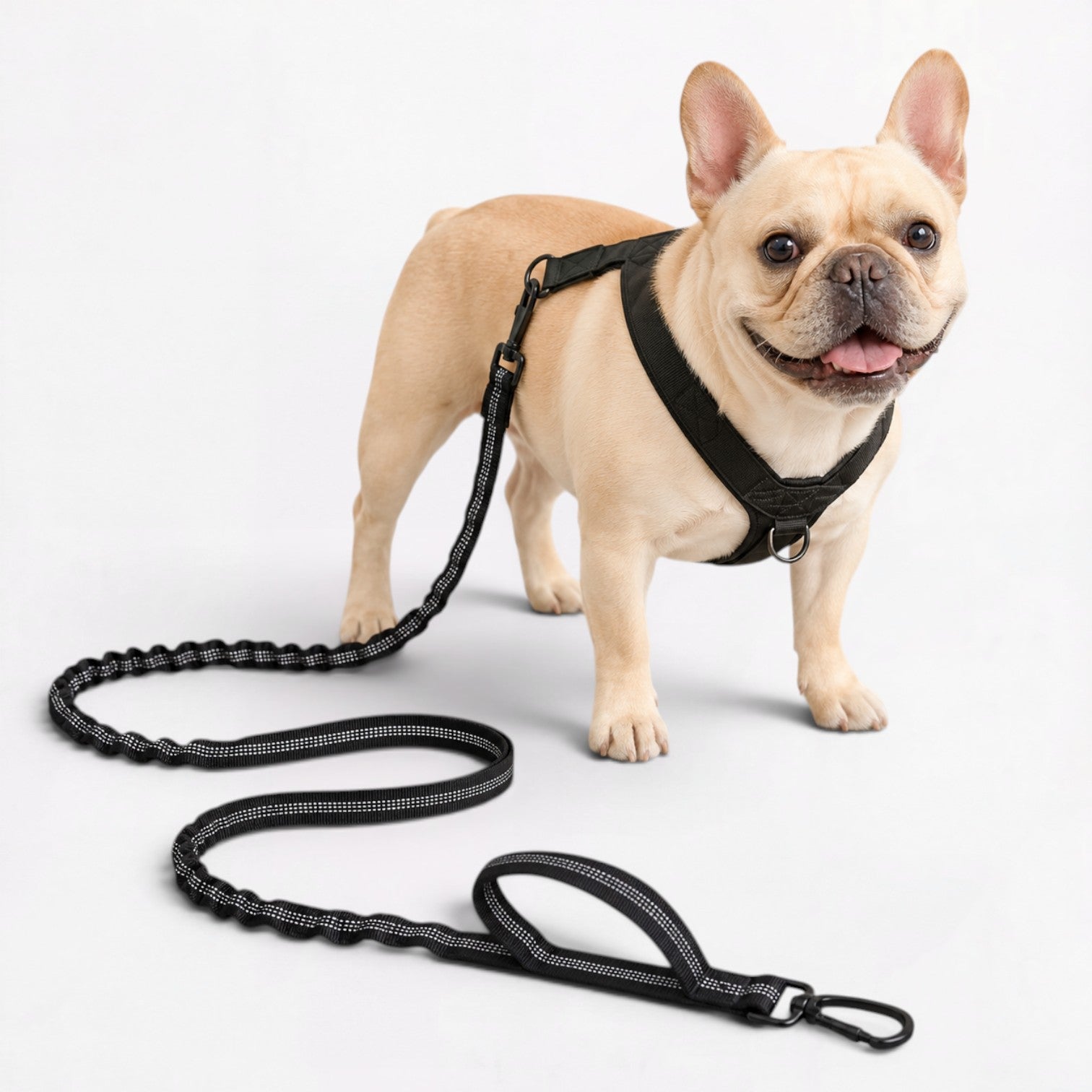 Frenchie-Reflective-Padded-Harness-Leash-Set.jpg