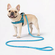 Frenchie-Reflective-Padded-Harness-Leash-Set.jpg