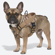 Frenchie-Reflective-Tactical-Harness-Leash-Set.jpg