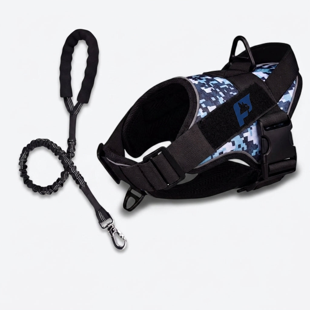 Frenchie-Reflective-Tactical-Harness-Leash-Set.jpg