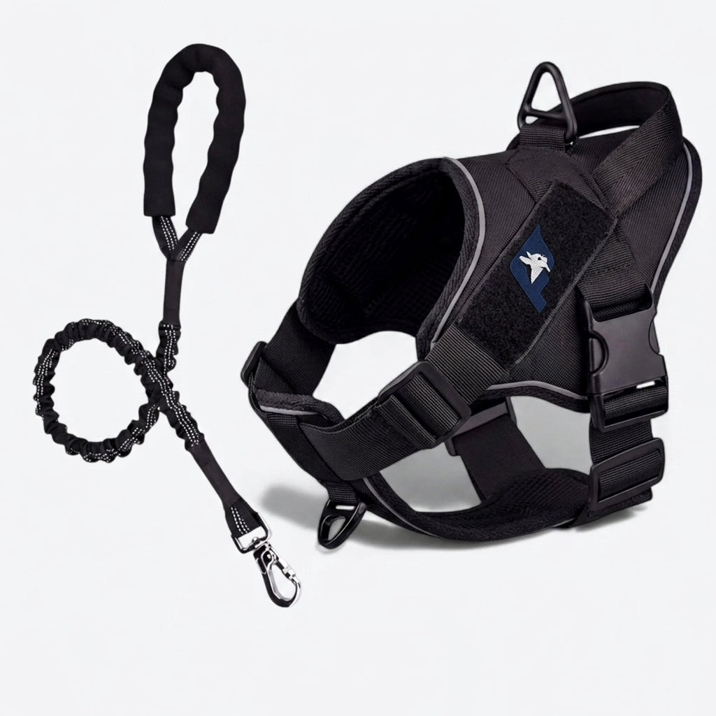 Frenchie-Reflective-Tactical-Harness-Leash-Set.jpg