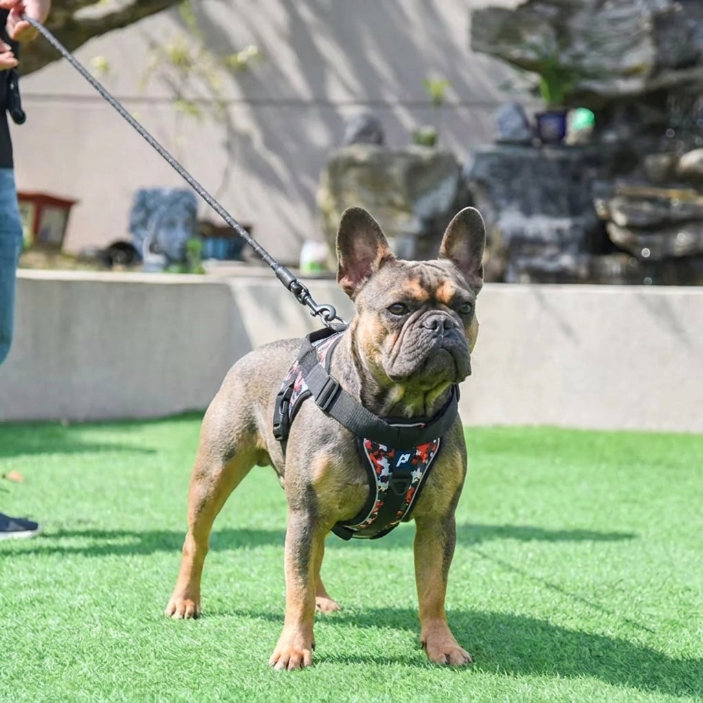 Frenchie-Reflective-Tactical-Harness-Leash-Set.jpg