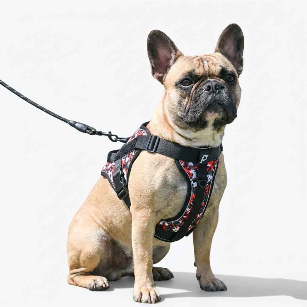 Frenchie-Reflective-Tactical-Harness-Leash-Set.jpg