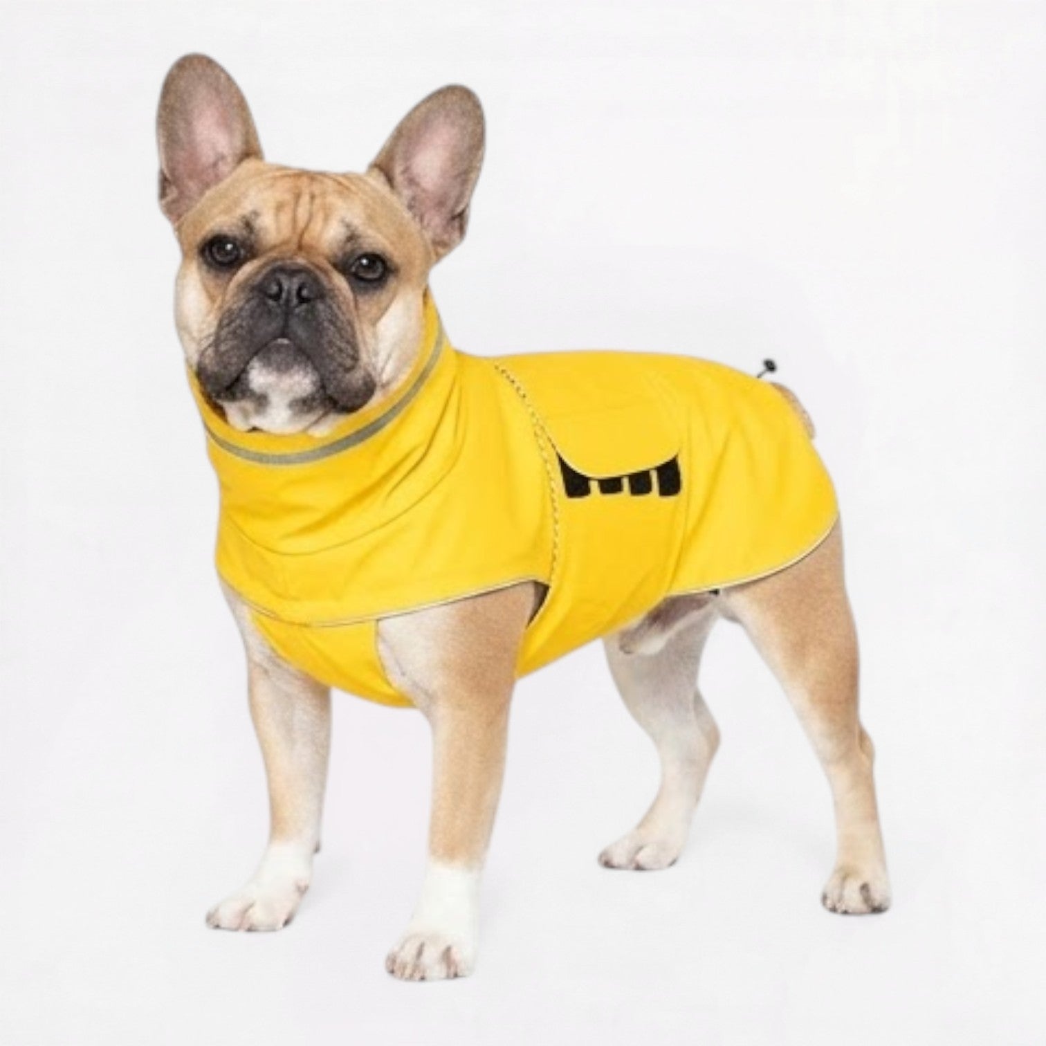 Frenchie-Reflective-Waterproof-Raincoat.jpg