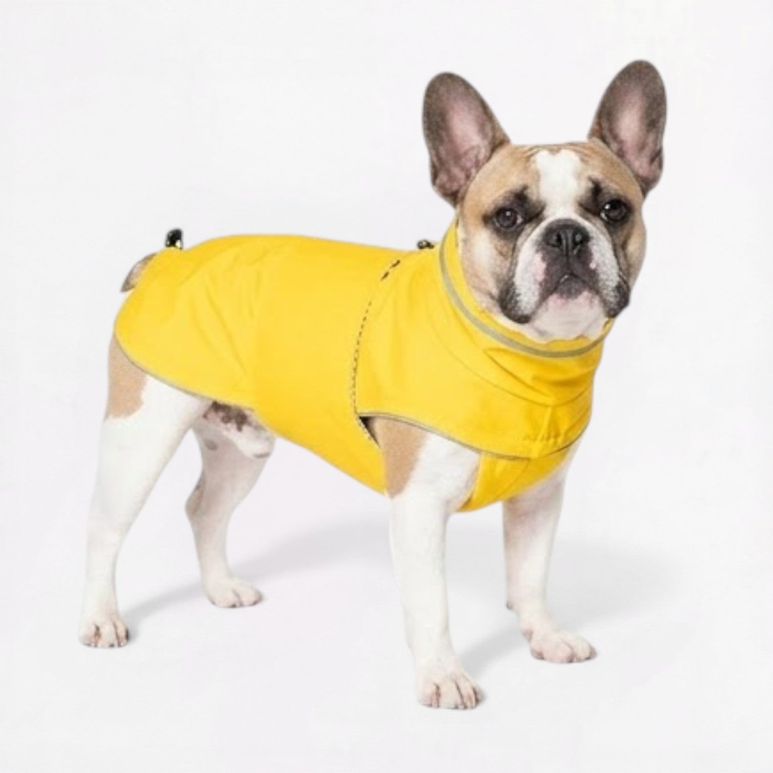 Frenchie-Reflective-Waterproof-Raincoat.jpg