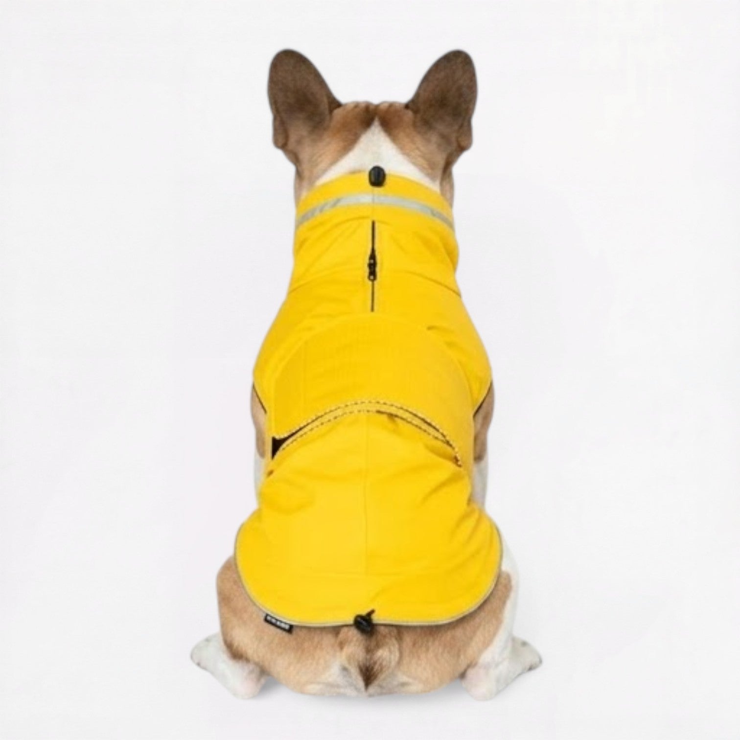Frenchie-Reflective-Waterproof-Raincoat.jpg