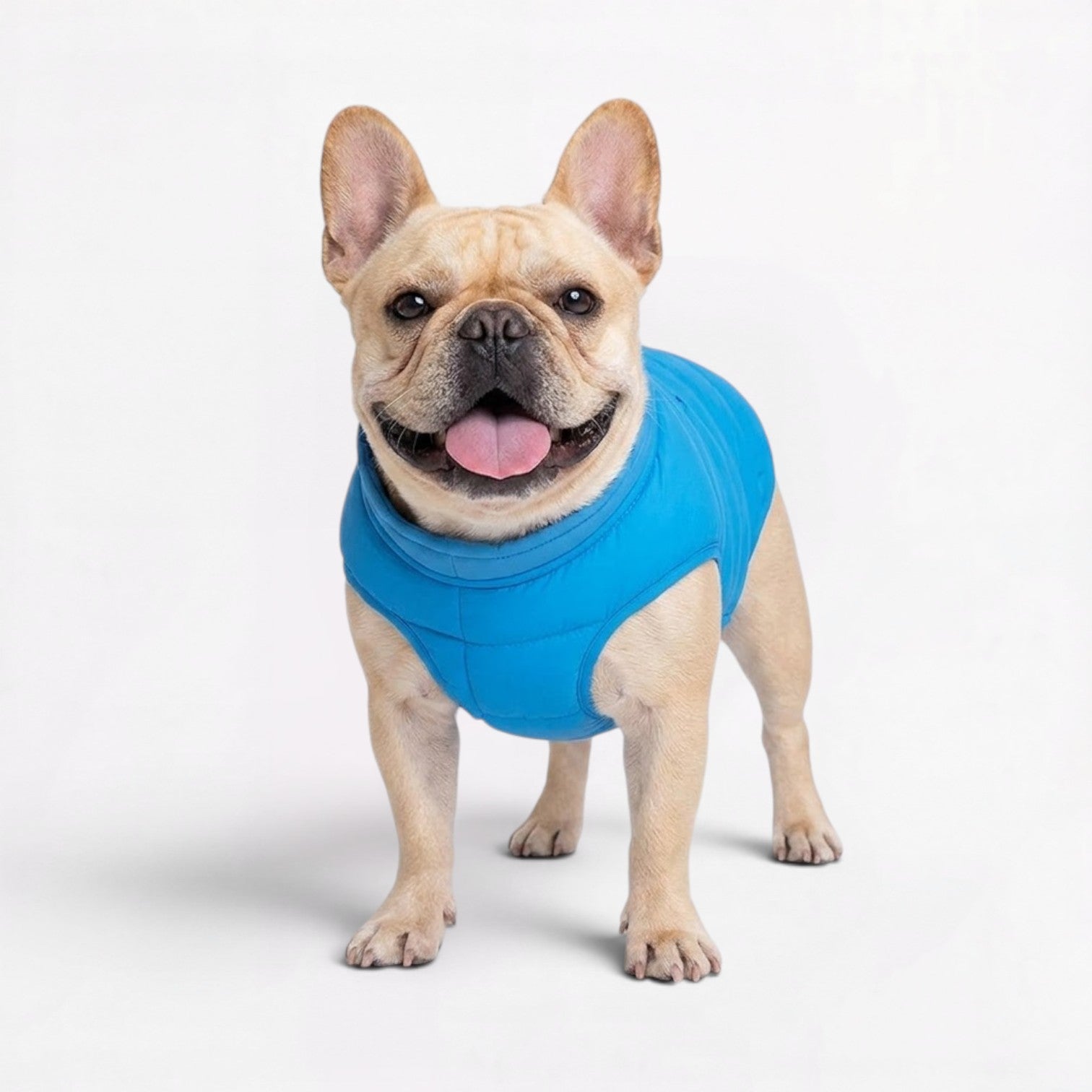 Frenchie-Reflective-Winter-Jacket.jpg