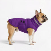 Frenchie-Reflective-Winter-Jacket.jpg