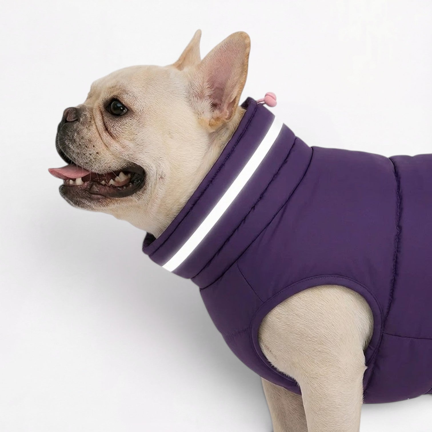 Frenchie-Reflective-Winter-Jacket.jpg