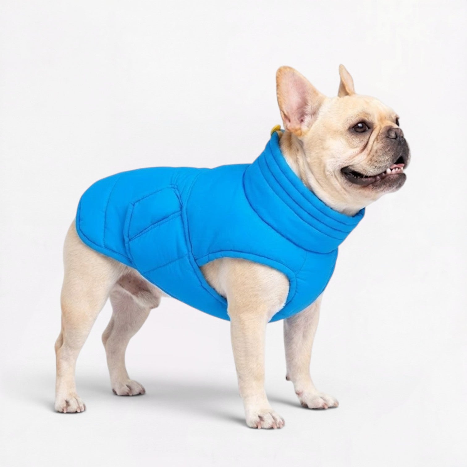 Frenchie-Reflective-Winter-Jacket.jpg