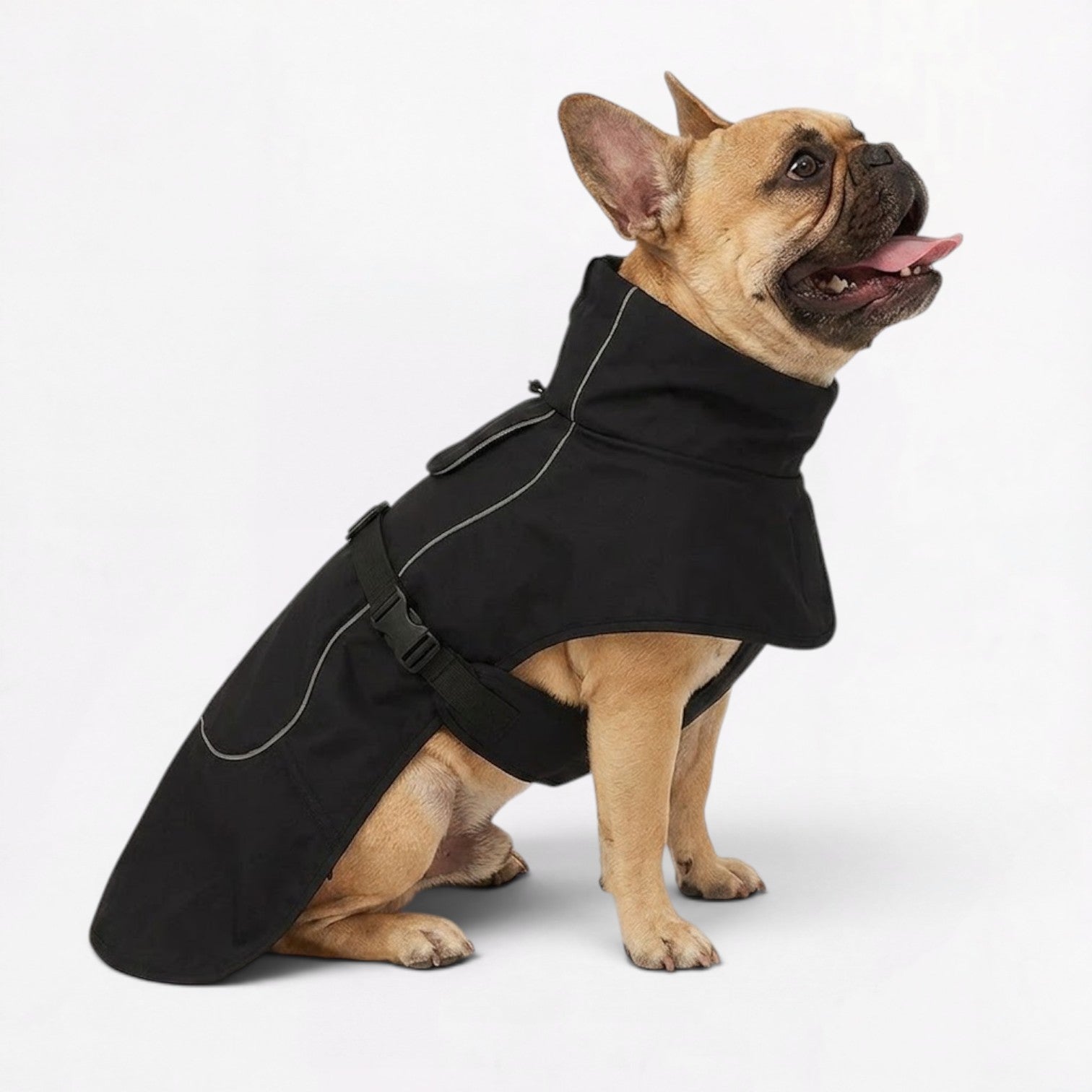 Frenchie-Reflective-Winter-Jacket.jpg