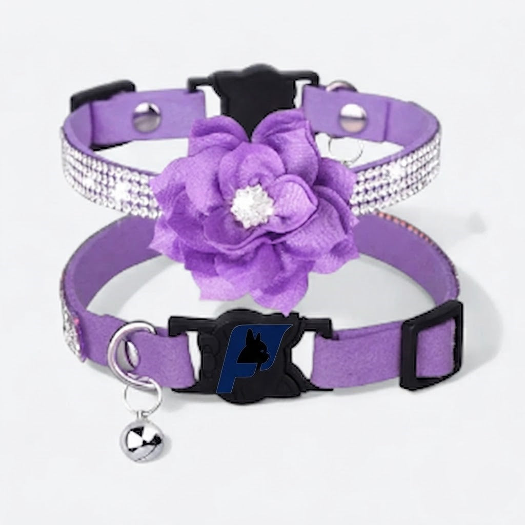 Frenchie-Rhinestone-Flower-Collar.jpg
