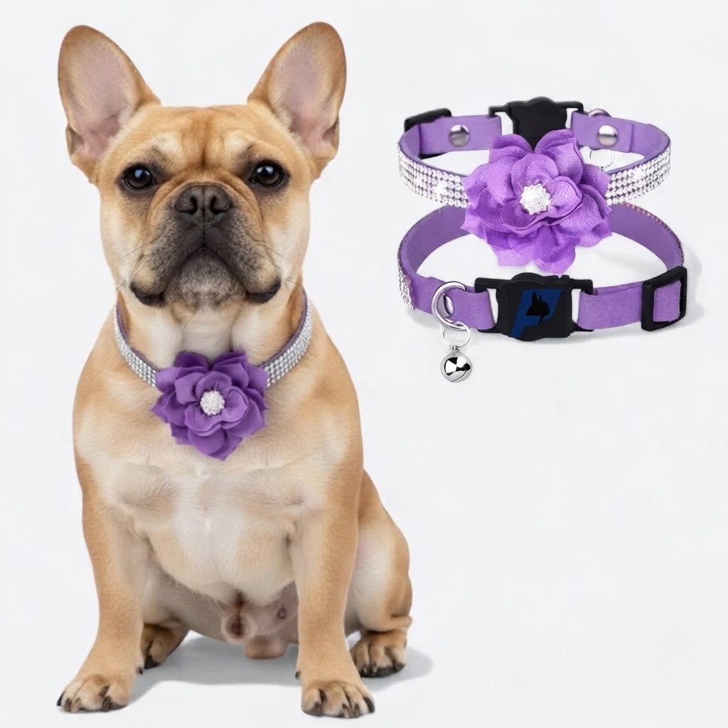 Frenchie-Rhinestone-Flower-Collar.jpg