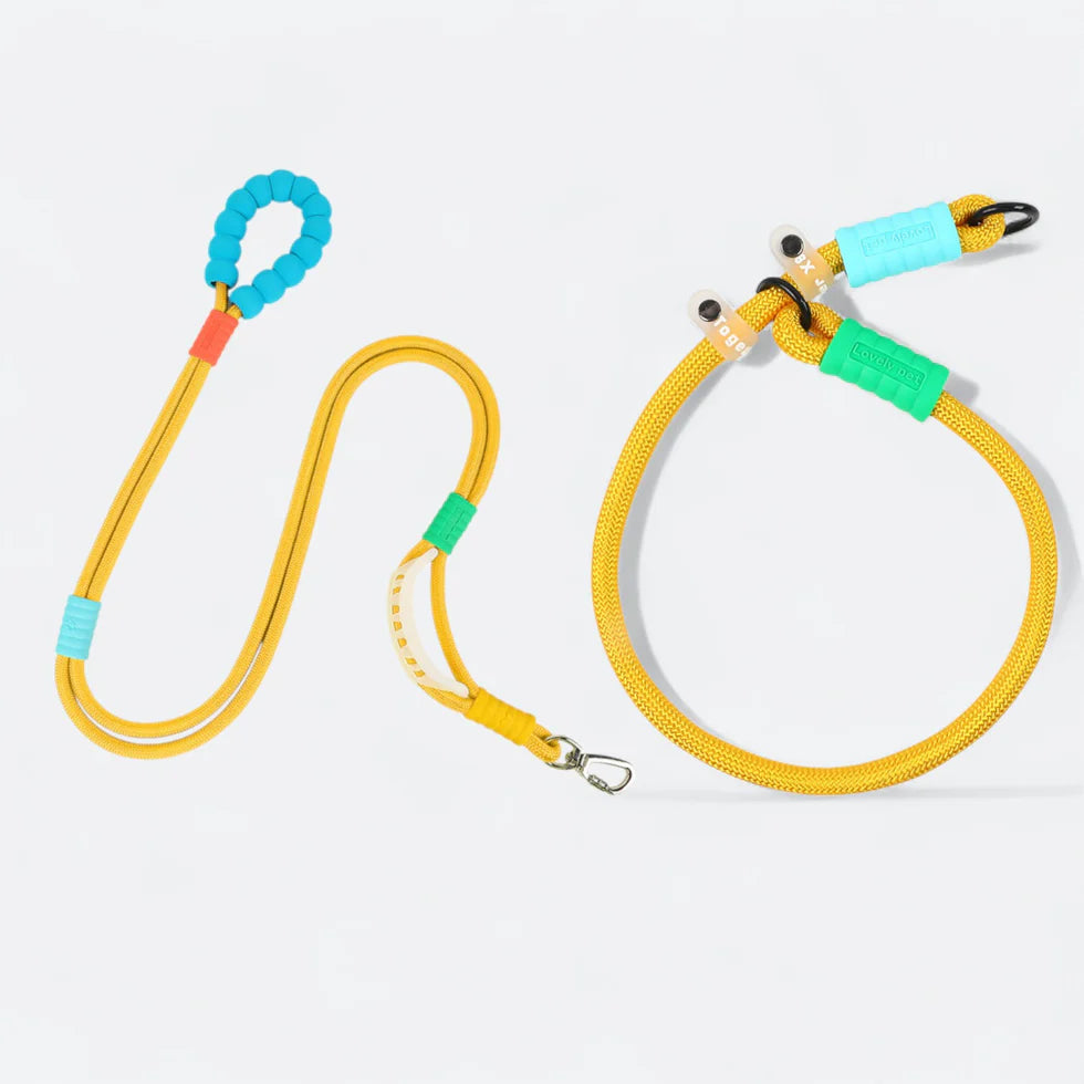 Frenchie-Rope-Leash-Collar-Set.jpg