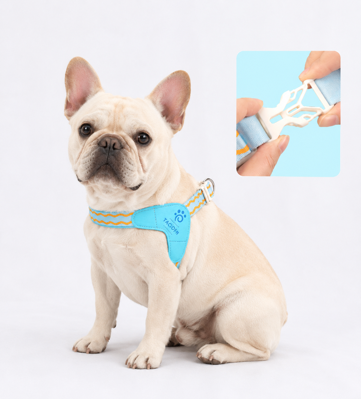 Frenchie-Saddle-Harness-Leash-Set.jpg