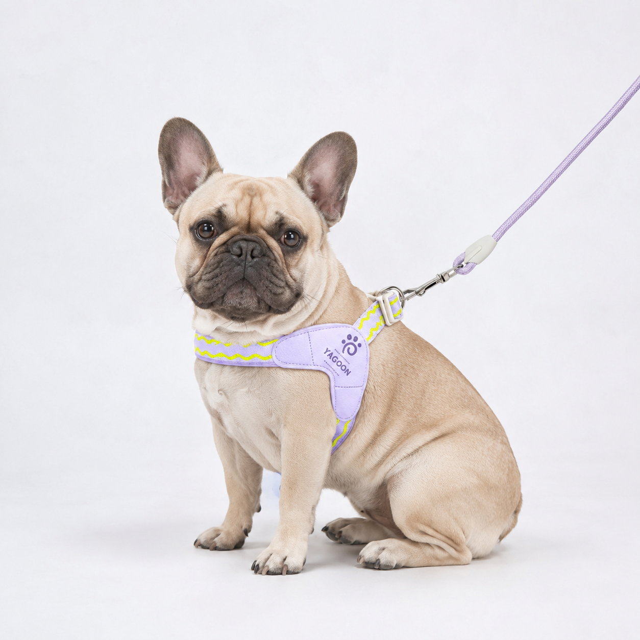 Frenchie-Saddle-Harness-Leash-Set.jpg
