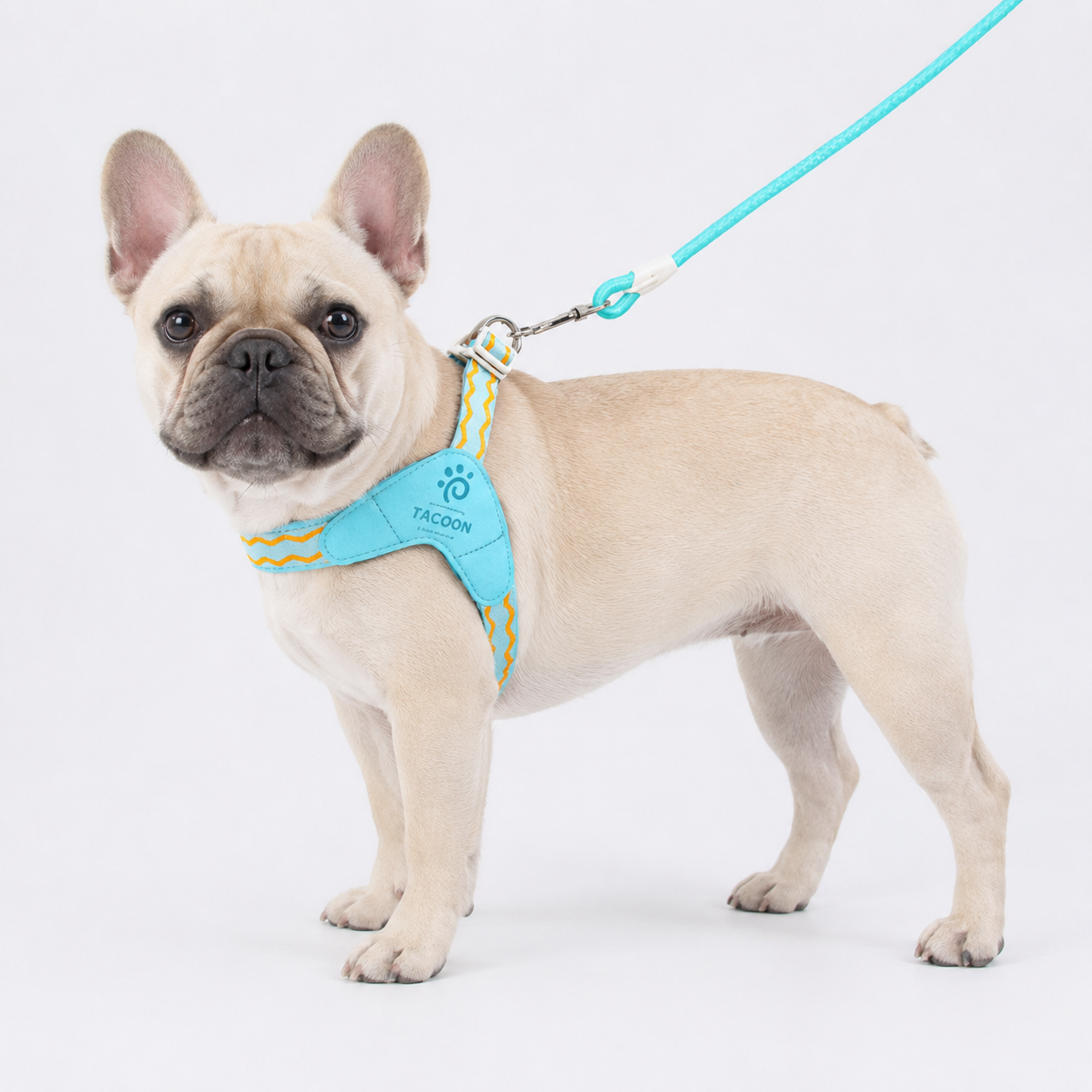 Frenchie-Saddle-Harness-Leash-Set.jpg