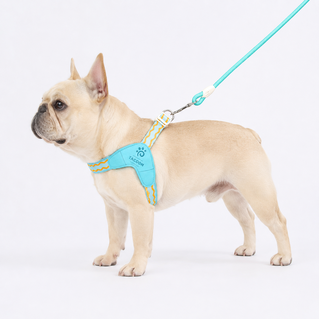 Frenchie-Saddle-Harness-Leash-Set.jpg