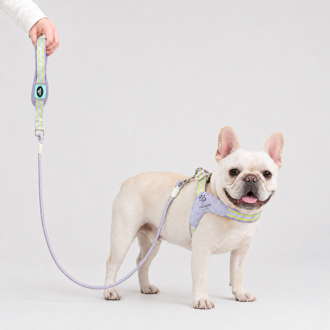 Frenchie-Saddle-Harness-Leash-Set.jpg