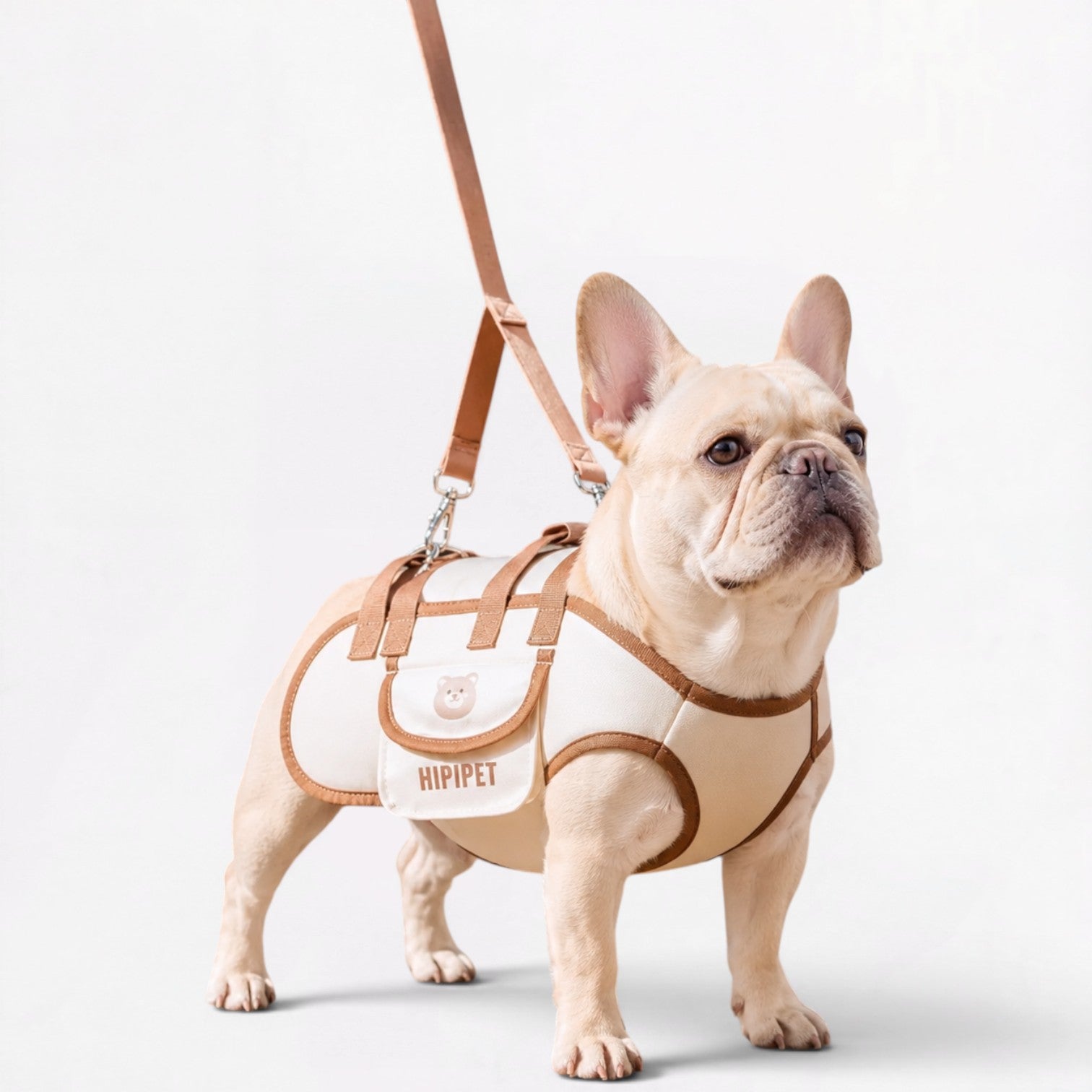 Frenchie-Shoulder-Crossbody-Carrier.jpg