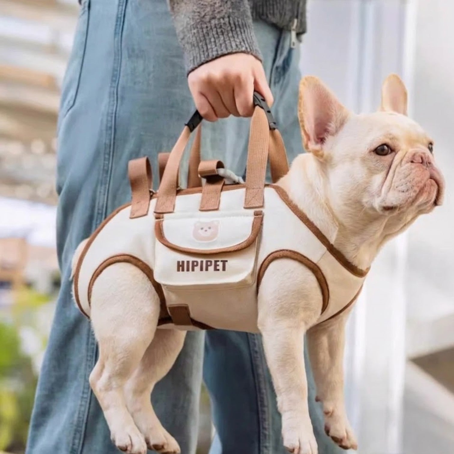 Frenchie-Shoulder-Crossbody-Carrier.jpg