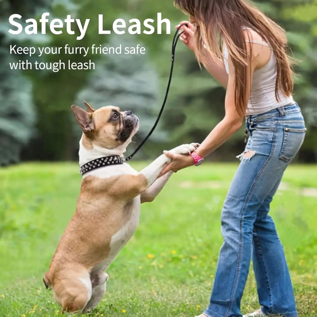 Frenchie-Spiked-Leather-Collar-Leash-Set.jpg