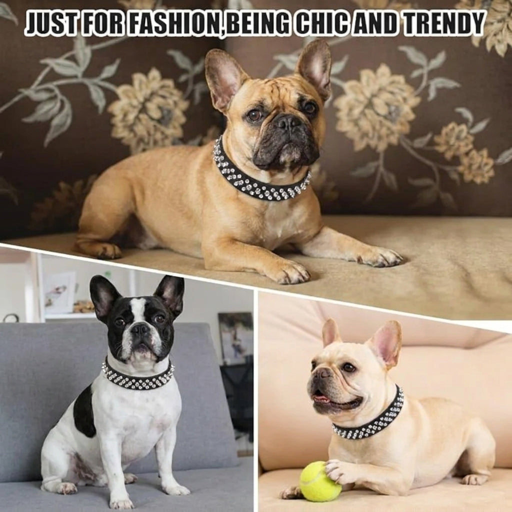 Frenchie-Spiked-Leather-Collar-Leash-Set.jpg