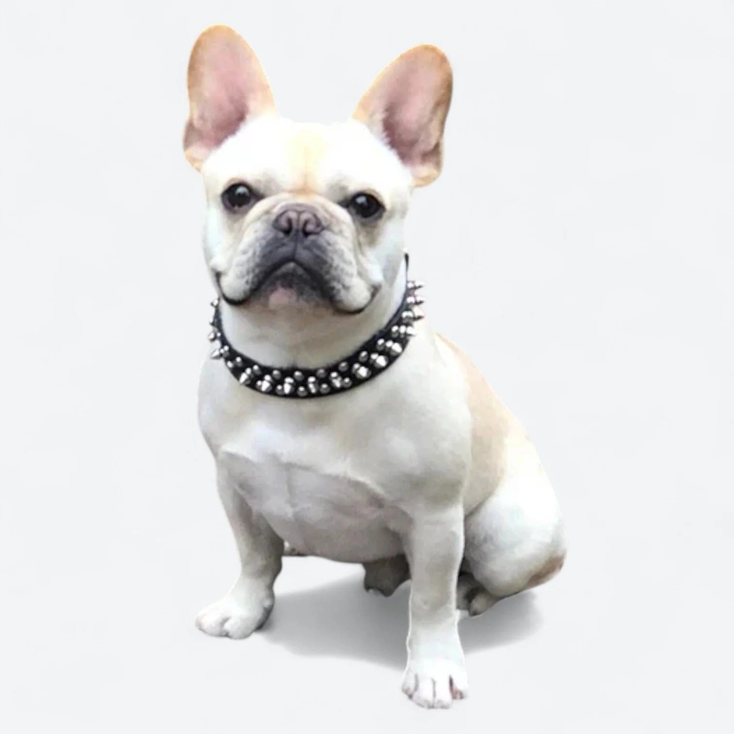 Frenchie-Spiked-Leather-Collar-Leash-Set.jpg