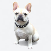 Frenchie-Spiked-Leather-Collar-Leash-Set.jpg