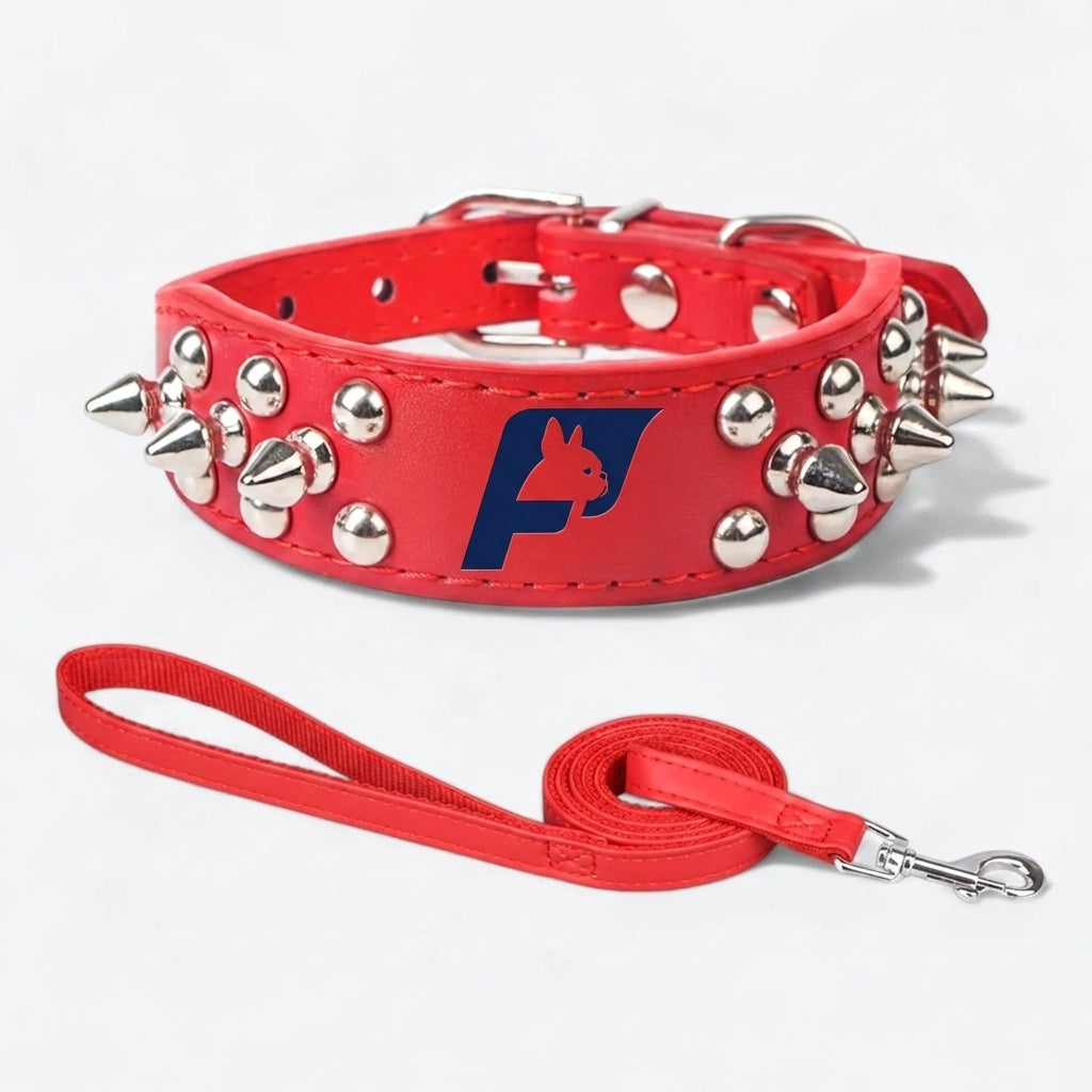 Frenchie-Spiked-Leather-Collar-Leash-Set.jpg