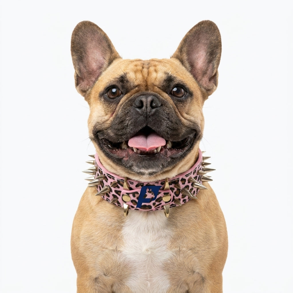 Frenchie-Spiked-Rivet-Collar-Leash-Set.jpg