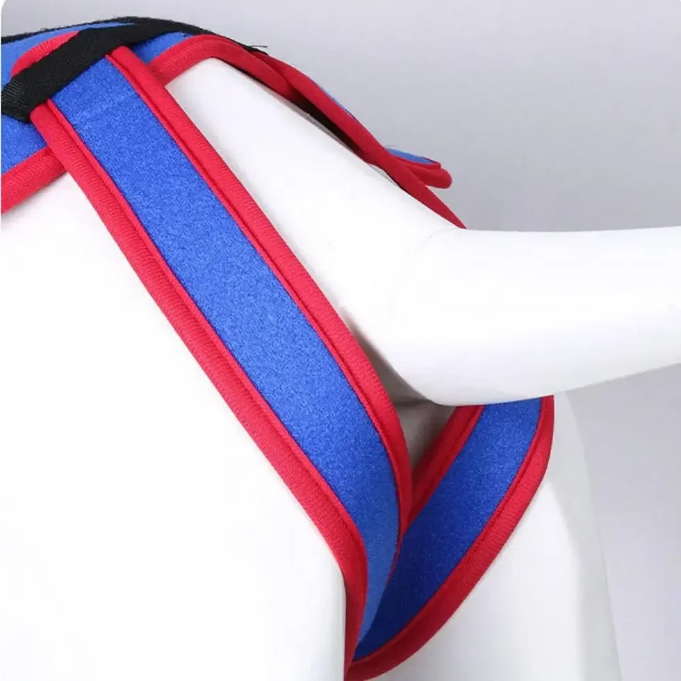 Frenchie-Spinal-Support-Harness.jpg