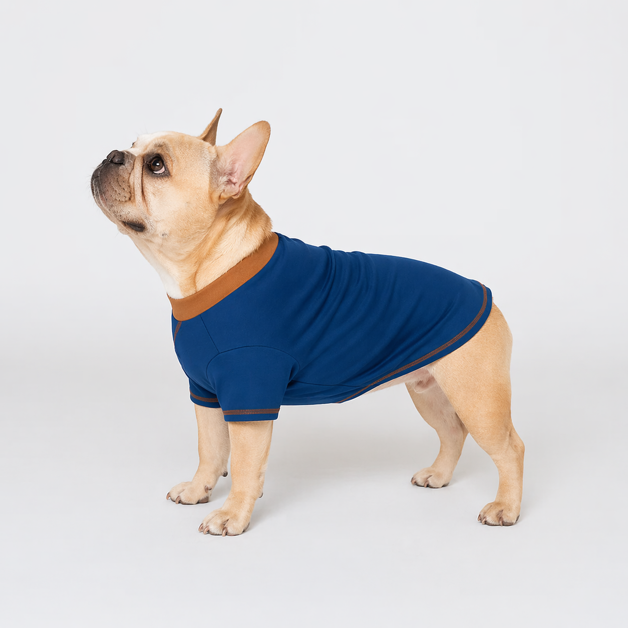 Frenchie-Summer-Soft-Cotton-Sweatshirt.jpg