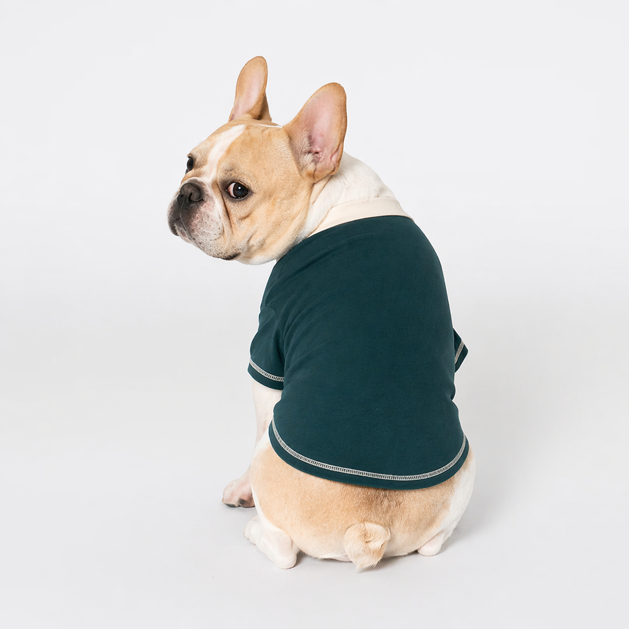 Frenchie-Summer-Soft-Cotton-Sweatshirt.jpg