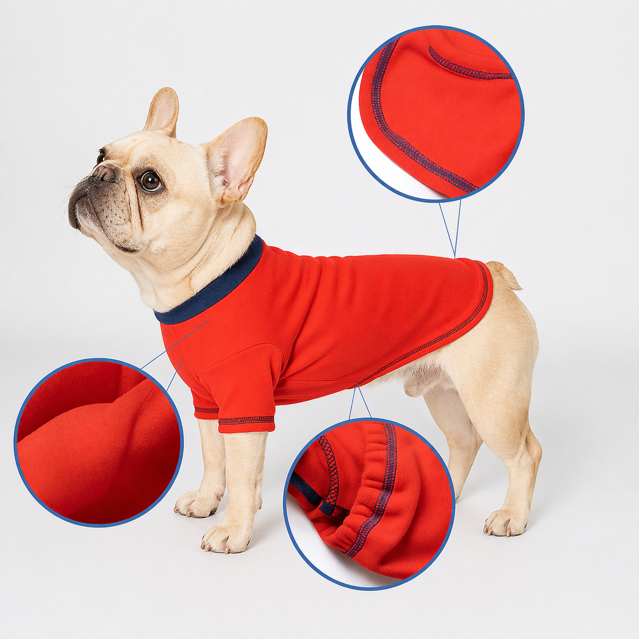 Frenchie-Summer-Soft-Cotton-Sweatshirt.jpg