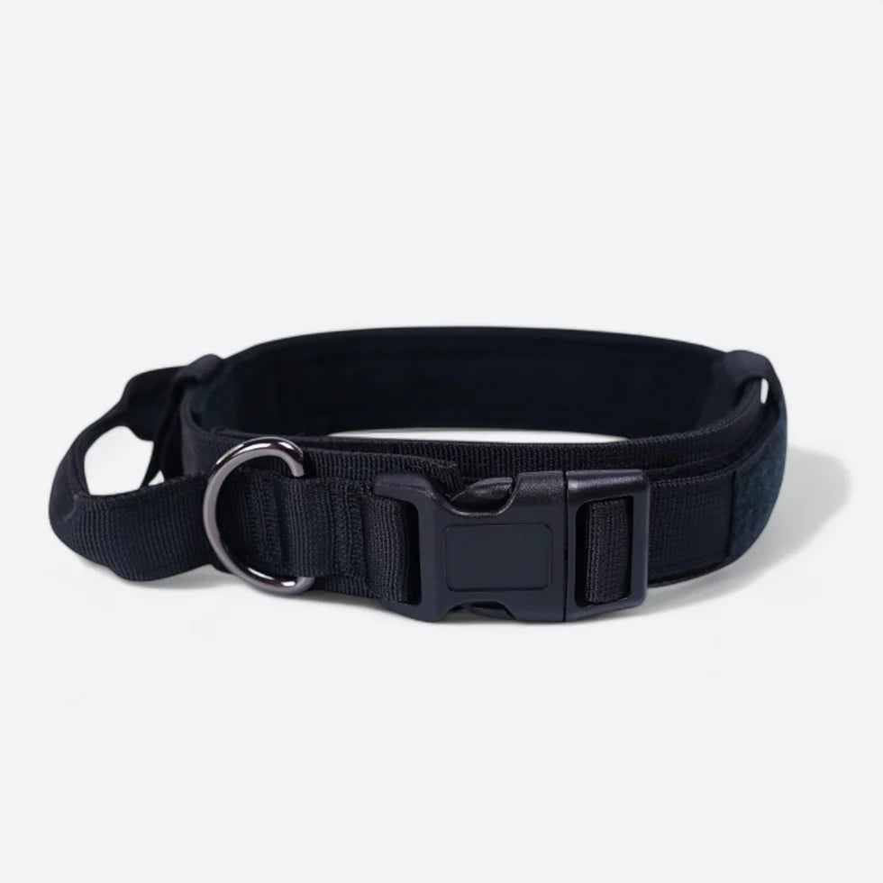 Frenchie-Tactical-Collar-Leash-Set.jpg