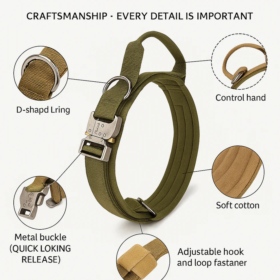 Frenchie-Tactical-Collar-Leash-Set.jpg