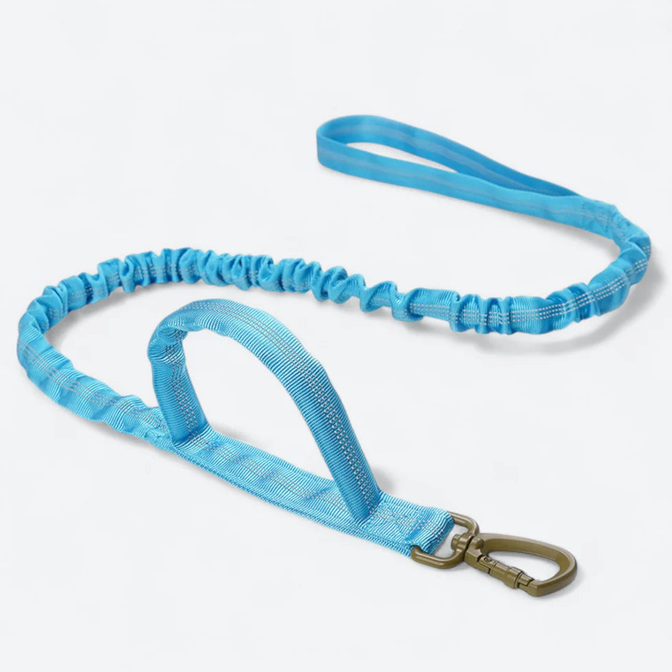 Frenchie-Tactical-Collar-Leash-Set.jpg